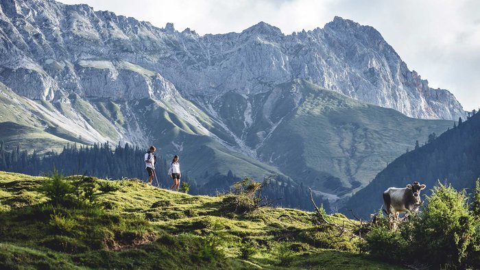 Hiking in spectacular
Alpine landscapes